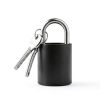 Lixdrem Portable Metal Locks with Keys-4