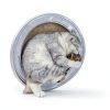 Catnip Toys Gochanmon 2‑Piece Silvervine Stick & Bell Ball Set-5