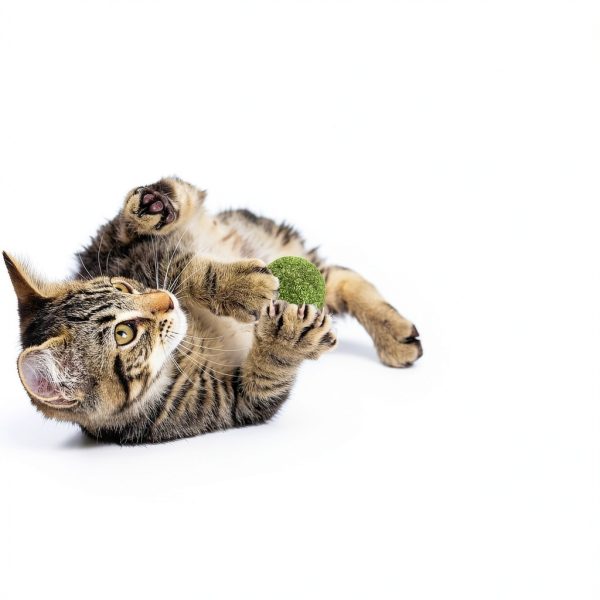 Raw Paws Catnip Balls for Cats 6-Count Interactive All-Natural Toy-3