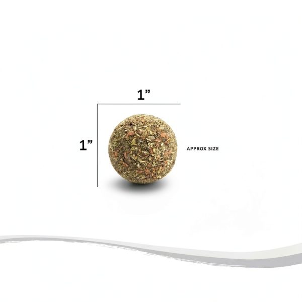 Raw Paws Catnip Balls for Cats 6-Count Interactive All-Natural Toy-2