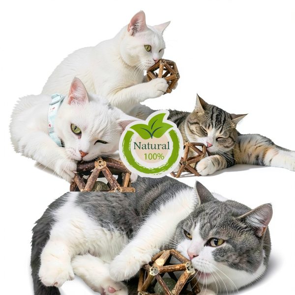Catnip Toys Gochanmon 2‑Piece Silvervine Stick & Bell Ball Set-6