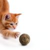 Raw Paws Catnip Balls for Cats 6-Count Interactive All-Natural Toy-1