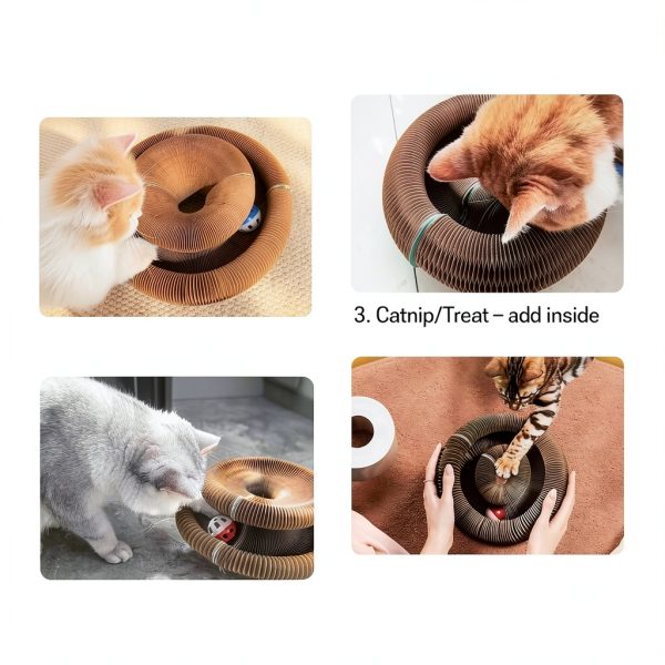 Kitty Kurlz Magnetic Toy Cardboard Scratcher – Collapsible Track-5
