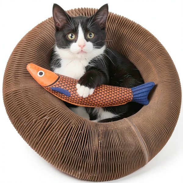 Kitty Kurlz Magnetic Toy Cardboard Scratcher – Collapsible Track-6