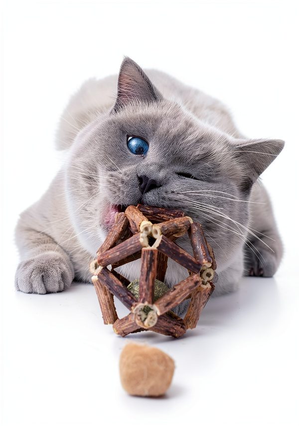 Catnip Toys Gochanmon 2‑Piece Silvervine Stick & Bell Ball Set-1