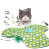 Interactive Cat Toys Rechargeable,Moving Concealed Feathers,Real Mouse Squeaky,Touch Activated Cat Kitten Toy Exercise Toys for Indoor Bored Adult Cats-2
