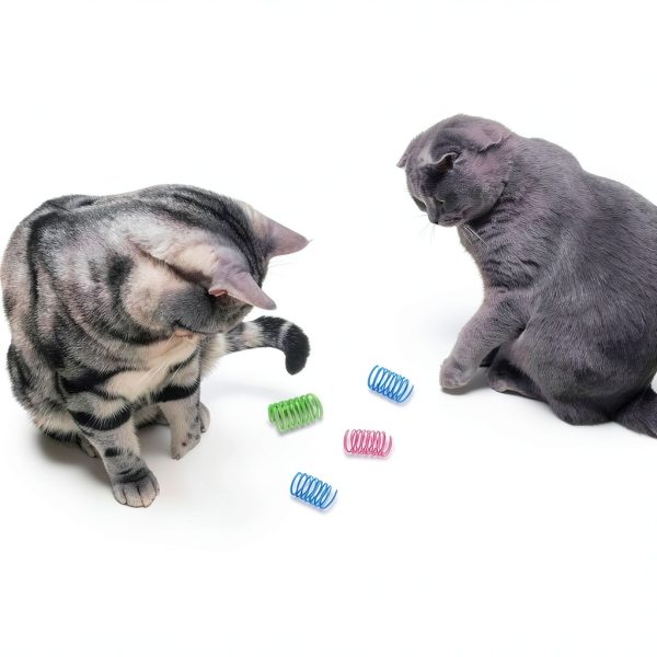 Andiker Interactive Cat Spiral Creative Spring Toy to Kill Time and Keep Fit, Sturdy and Heavy Plastic for Swatting, Biting, Hunting Kitten Toys, Colorful, 12 pcs-1