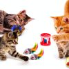 Cat Toys AILUKI 35PCS Kitten Toys Tunnel Feather Teaser Catnip Fish-3