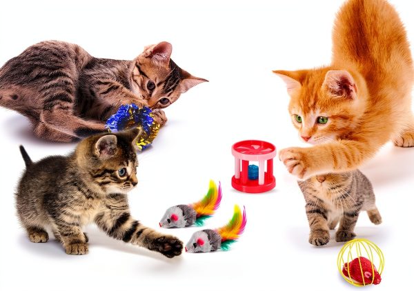 Cat Toys AILUKI 35PCS Kitten Toys Tunnel Feather Teaser Catnip Fish-3