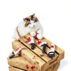 Potaroma 4Pcs Catnip Knife Toys for Indoor Cats, Crinkly Sound Kitten-5