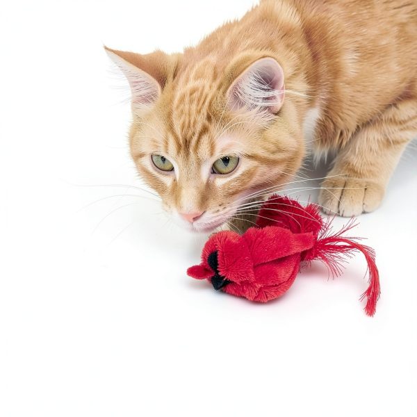 OurPets Play-N-Squeak Real Birds Cat Toy with Catnip Fly Over-1