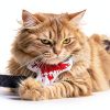 Potaroma 4Pcs Catnip Knife Toys for Indoor Cats, Crinkly Sound Kitten-4
