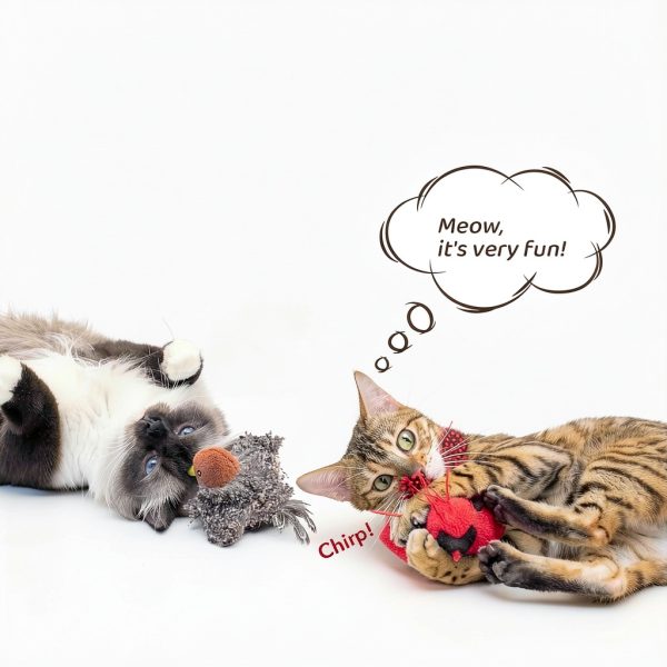 Cat Toys Potaroma Interactive Birdie Set with SilverVine Catnip 2 Pack-1