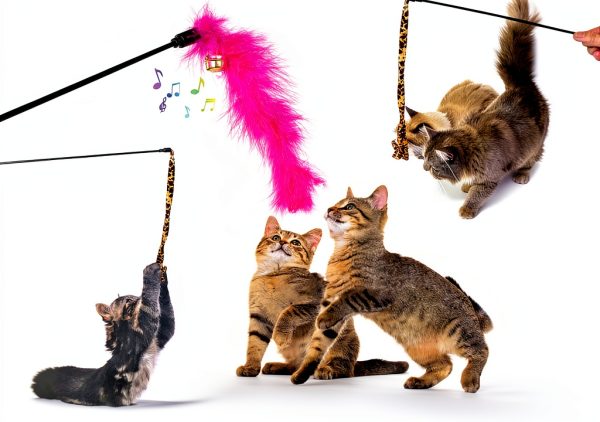 Cat Toys AILUKI 35PCS Kitten Toys Tunnel Feather Teaser Catnip Fish-4