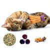 Fashion's Talk Cat Toys Variety Pack for Kitty 20 Pieces-2