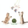 Cat Feather Toy Potaroma Interactive Hanging Kitten Play-3