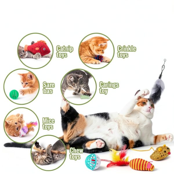Fashion's Talk Cat Toys Variety Pack for Kitty 20 Pieces-3