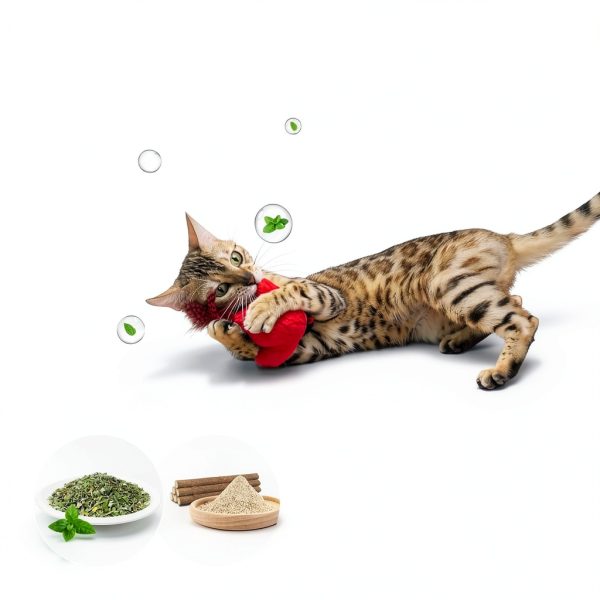 Cat Toys Potaroma Interactive Birdie Set with SilverVine Catnip 2 Pack-5