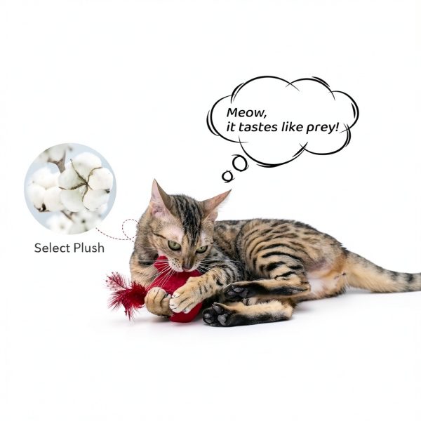 Cat Toys Potaroma Interactive Birdie Set with SilverVine Catnip 2 Pack-3