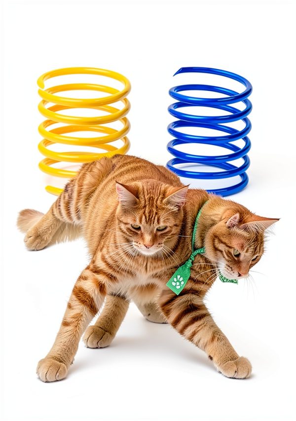 Andiker Interactive Cat Spiral Creative Spring Toy to Kill Time and Keep Fit, Sturdy and Heavy Plastic for Swatting, Biting, Hunting Kitten Toys, Colorful, 12 pcs-3