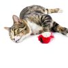 OurPets Play-N-Squeak Real Birds Cat Toy with Catnip Fly Over-3