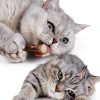 Cat Toys AILUKI 35PCS Kitten Toys Tunnel Feather Teaser Catnip Fish-5