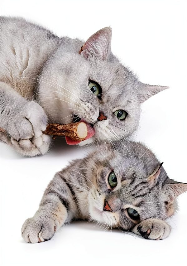 Cat Toys AILUKI 35PCS Kitten Toys Tunnel Feather Teaser Catnip Fish-5